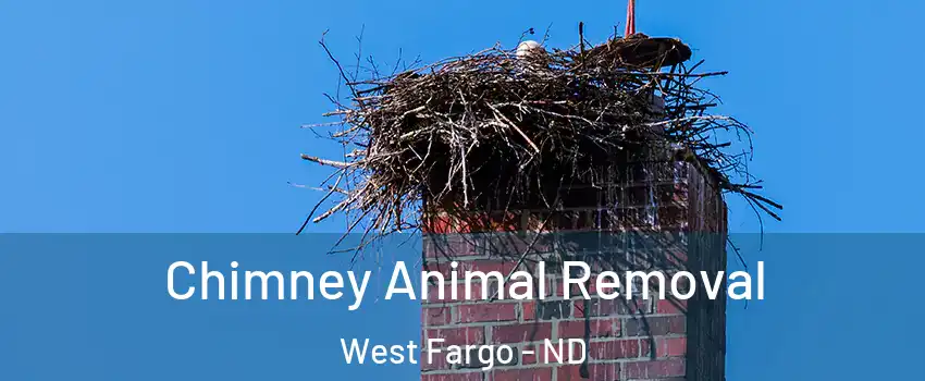 Chimney Animal Removal West Fargo - ND
