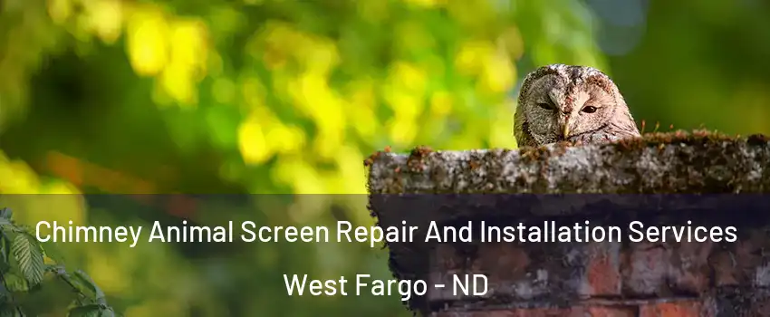  Chimney Animal Screen Repair And Installation Services West Fargo - ND