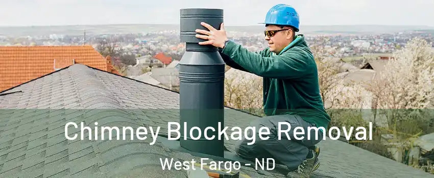  Chimney Blockage Removal West Fargo - ND