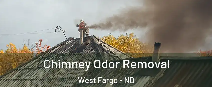  Chimney Odor Removal West Fargo - ND