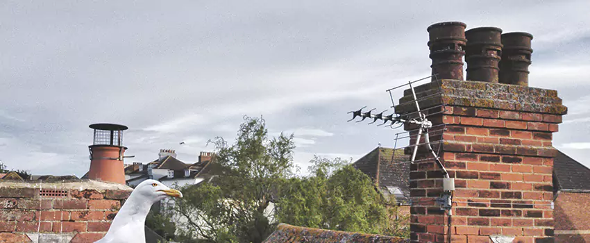 Chimney Cleaning And Restoration in West Fargo, North Dakota