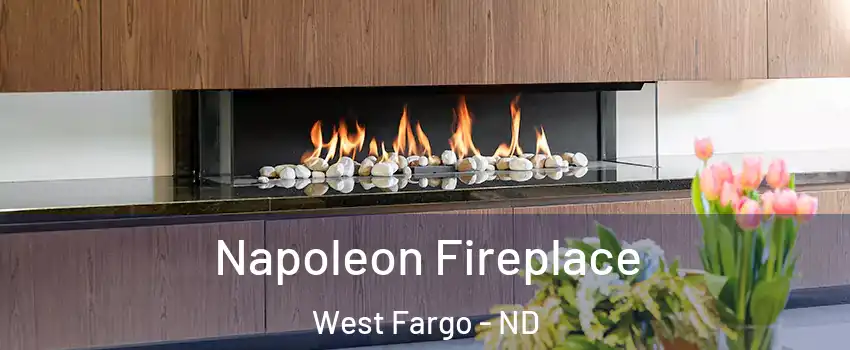  Napoleon Fireplace West Fargo - ND